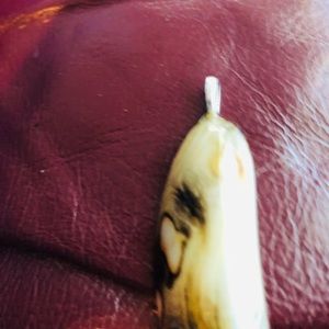 🌼🌼🌼FINAL PRICE ***petrified wood pendant